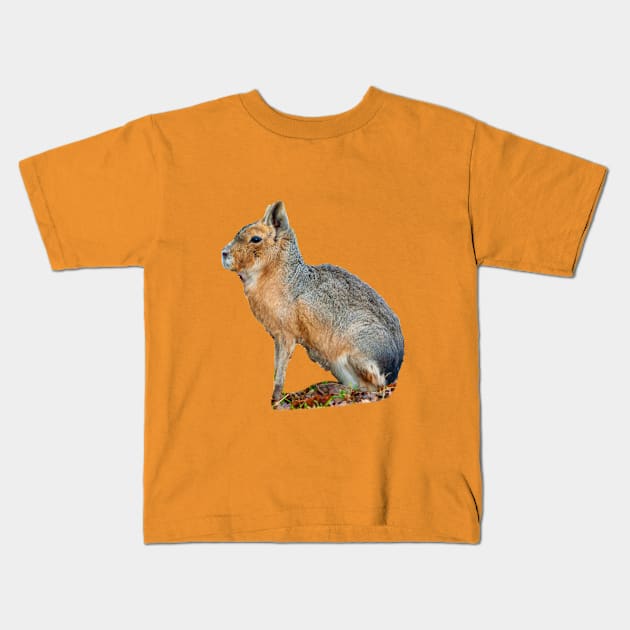 Mara or Patagonian Hare Kids T-Shirt by dalyndigaital2@gmail.com